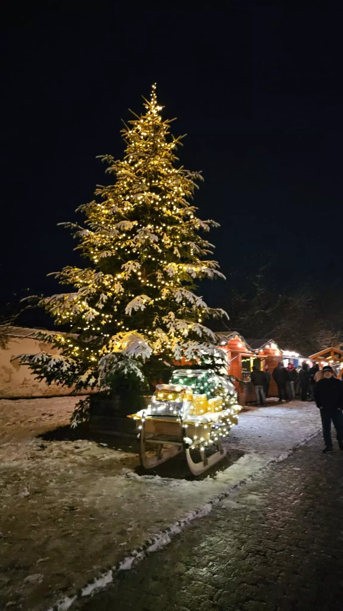 Weihnachtsbaum in Ochsenhausen 2023